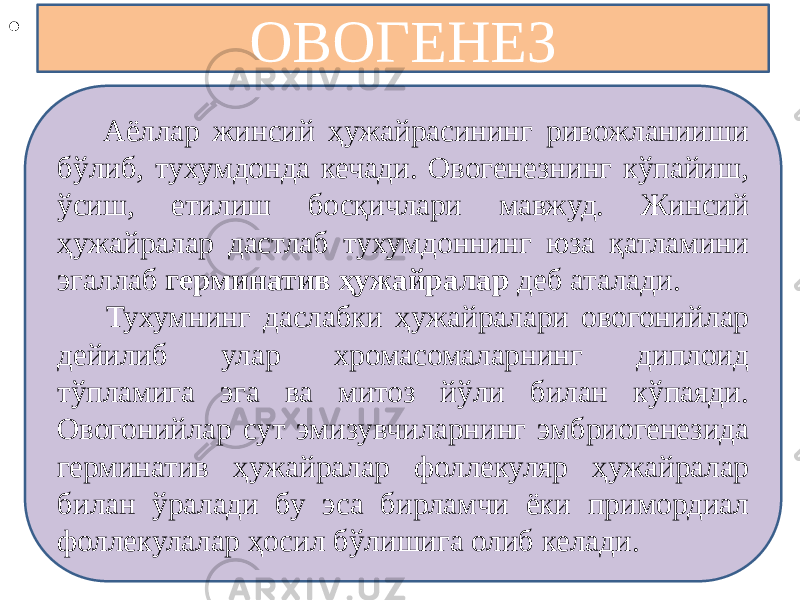 • . ОВОГЕНЕЗ Аёллар жинсий ҳужайрасининг ривожланииши бўлиб, тухумдонда кечади. Овогенезнинг кўпайиш, ўсиш, етилиш босқичлари мавжуд. Жинсий ҳужайралар дастлаб тухумдоннинг юза қатламини эгаллаб герминатив ҳужайралар деб аталади. Тухумнинг даслабки ҳужайралари овогонийлар дейилиб улар хромасомаларнинг диплоид тўпламига эга ва митоз йўли билан кўпаяди. Овогонийлар сут эмизувчиларнинг эмбриогенезида герминатив ҳужайралар фоллекуляр ҳужайралар билан ўралади бу эса бирламчи ёки примордиал фоллекулалар ҳосил бўлишига олиб келади. 