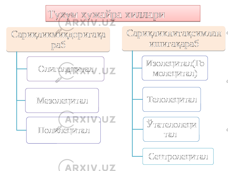 Сариқликмиқдоригақа раб Олиголецитал Мезолецитал Полилецитал Сариқликнитақсимлан ишигақараб Изолецитал(Го молецитал) Телолецитал Ўтателолеци тал  СентролециталТухум ҳужайра хиллари46 0F0E 46 0A190A 4E 