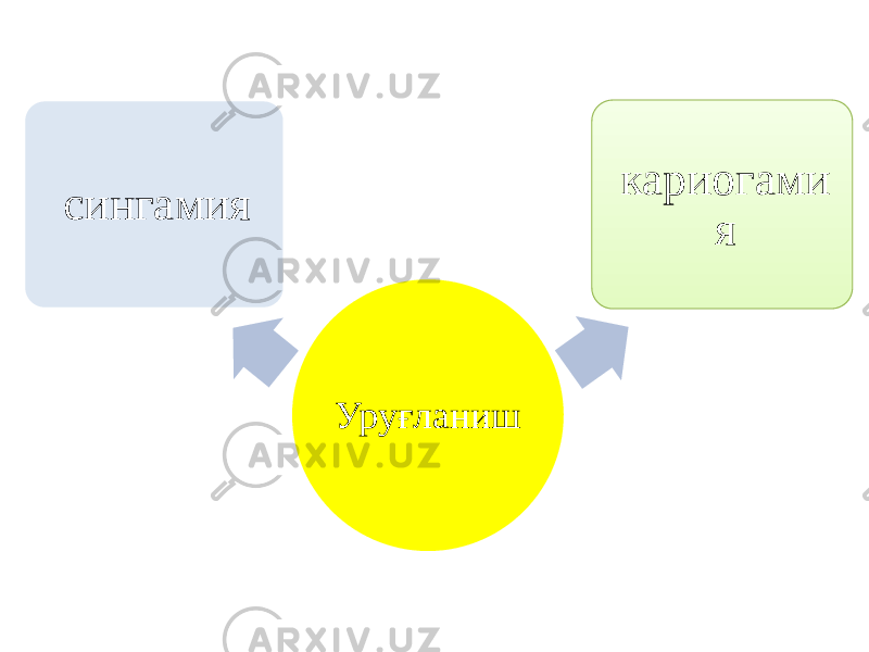 Уруғланиш кариогами ясингамия 