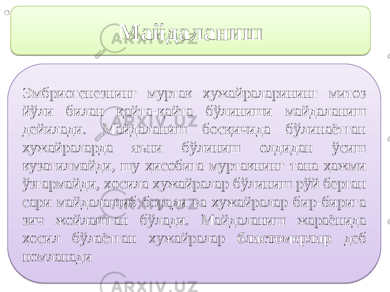 • , Майдаланиш Эмбриогенезнинг муртак ҳужайраларининг митоз йўли билан қайта-қайта бўлиниши майдаланиш дейилади. Майдаланиш босқичида бўлинаётган ҳужайраларда яъни бўлиниш олдидан ўсиш кузатилмайди, шу ҳисобига муртакнинг тана ҳажми ўзгармайди, ҳосила ҳужайралар бўлиниш рўй берган сари майдалашиб боради ва ҳужайралар бир-бирига зич жойлашган бўлади. Майдаланиш жараёнида ҳосил бўлаётган ҳужайралар бластомерлар деб номланади1604 0B 21 15300D 11 1617 28 3009 14 09 1606 1F 0B 0406 