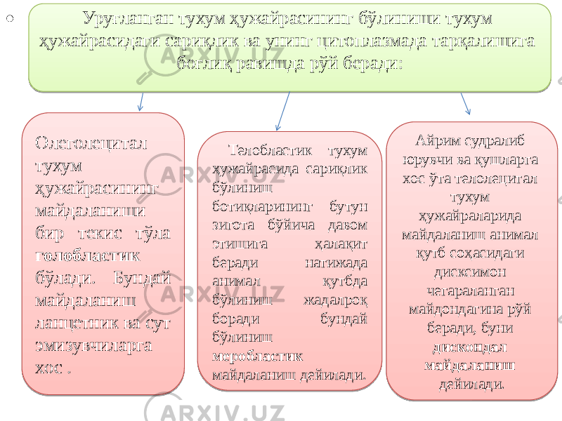 • Уруғланган тухум ҳужайрасининг бўлиниши тухум ҳужайрасидаги сариқлик ва унинг цитоплазмада тарқалишига боғлиқ равишда рўй беради: Олеголецитал тухум ҳужайрасининг майдаланиши бир текис тўла голобластик бўлади. Бундай майдаланиш ланцетник ва сут эмизувчиларга хос . Телобластик тухум ҳужайрасида сариқлик бўлиниш ботиқларининг бутун зигота бўйича давом этишига ҳалақит беради натижада анимал қутбда бўлиниш жадалроқ боради бундай бўлиниш меробластик майдаланиш дейилади. Айрим судралиб юрувчи ва қушларга хос ўта телолецитал тухум ҳужайраларида майдаланиш анимал қутб соҳасидаги дисксимон чегараланган майдондагина рўй беради, буни дискондал майдаланиш дейилади.53 1617 1E 03 05 1617 1B 1E 03 1E 1B 0D0E 1D 3E 02 4E 16 1E 1E 090A07 1D05 1E 0E 1E 1E 1E 08 1B 49 2F 3E 05 1617 1B 2217 11 23 1B 1E 0B06 08 11 