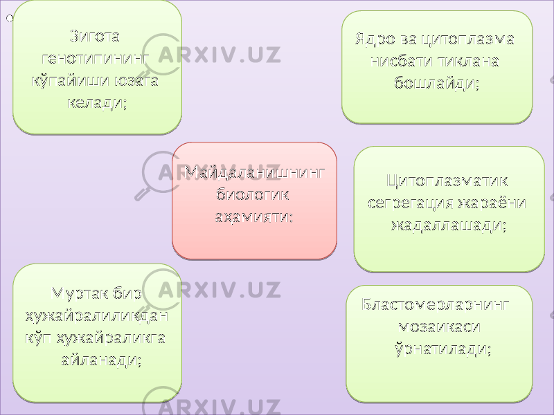 • , Майдаланишнинг биологик аҳамияти:Зигота генотипининг кўпайиши юзага келади; Ядро ва цитоплазма нисбати тиклана бошлайди; Муртак бир ҳужайралиликдан кўп ҳужайраликга айланади; Бластомерларнинг мозаикаси ўрнатилади;Цитоплазматик сегрегация жараёни жадаллашади;01 23 49040F 14 04 4A 03 1A15 1A 4B 09 1408 02 4911 10 1A 040F 02 32 05 15 4C 0E 0C 