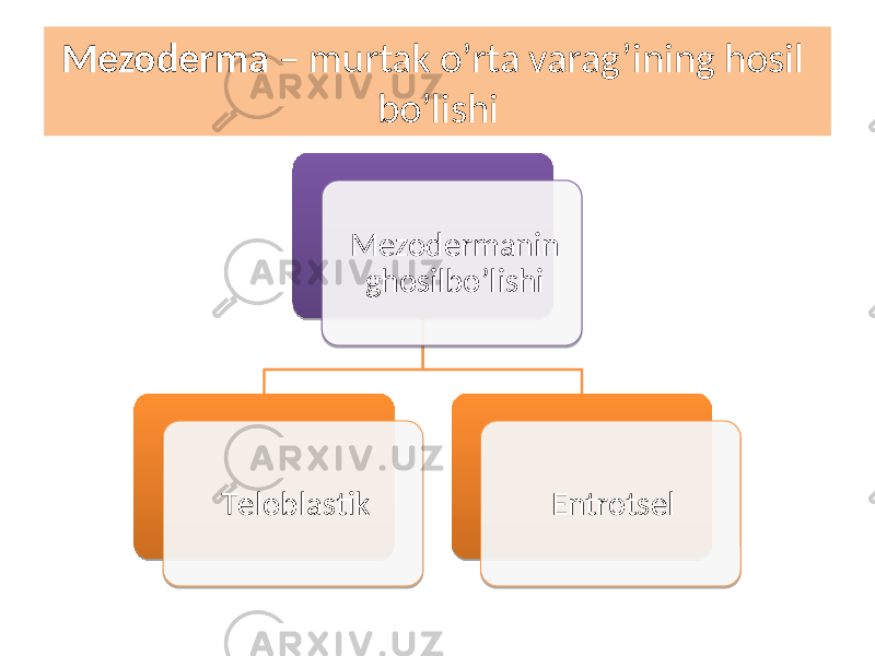 Mezoderma – murtak o’rta varag’ining hosil bo’lishi Mezodermanin ghosilbo’lishi Tеloblastik Entrotsel 4647 4F4539 5F 5543 