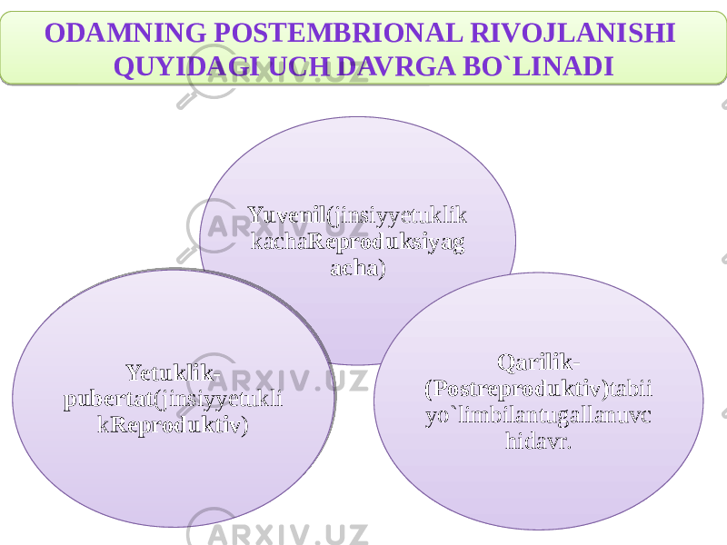 • . ODAMNING POSTEMBRIONAL RIVOJLANISHI QUYIDAGI UCH DAVRGA BO`LINADI Yuvenil (jinsiyyetuklik kacha Reproduksiyag acha ) Qarilik- (Postreproduktiv) tabii yo`limbilantugallanuvc hidavr.Yetuklik- pubertat (jinsiyyetukli k Reproduktiv )2D 53 54 57 1C65 61 2B 1F 