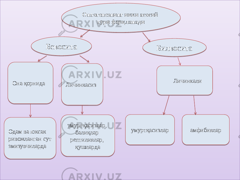 Онтогенезнинг икки асосий тури фарқланади Бевосита Билвосита Она қорнида Личинкасиз Личинкали умуртқасизлар амфибияларумуртқасизлар, балиқлар рептилиялар, қушлардаОдам ва юксак ривожланган сут эмизувчиларда 01 13 3F08 3F0A 02 03 40 02 02 400A 02 17 0E1B2E 17 1E 0F08 22 03 0F 1D 