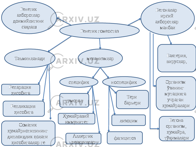 Генетик ахборотлар доимийлигини сақлаш Бегоналар ирсий ахборотлар манбаи Бактерия, вируслар, Организм ўзининг мутацияга учраган ҳужайралари Бегона организм, ҳужайра, тўқималаримеханизмлар специфик носпецифик гуморал Ҳужайравий иммунитет Аллергик реакциялар Тери барьери лизоцим фагицитозТаъминланади Репарация ҳисобига Репликация ҳисобига Соматик ҳужайрнотипининг диплоидлик ҳолати ҳисобигаалар ге Генетик гомеостаз 
