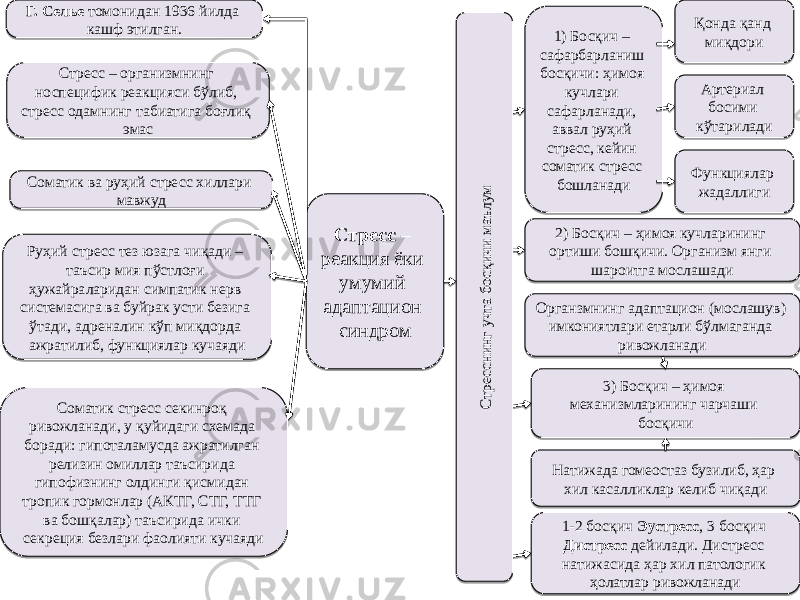 Стресс – реакция ёки умумий адаптацион синдромГ. Селье томонидан 1936 йилда кашф этилган. Стресс – организмнинг носпецифик реакцияси бўлиб, стресс одамнинг табиатига боғлиқ эмас Соматик ва руҳий стресс хиллари мавжуд Руҳий стресс тез юзага чиқади – таъсир мия пўстлоғи ҳужайраларидан симпатик нерв системасига ва буйрак усти безига ўтади, адреналин кўп миқдорда ажратилиб, функциялар кучаяди Соматик стресс секинроқ ривожланади, у қуйидаги схемада боради: гипоталамусда ажратилган релизин омиллар таъсирида гипофизнинг олдинги қисмидан тропик гормонлар (АКТГ, СТГ, ТТГ ва бошқалар) таъсирида ички секреция безлари фаолияти кучаяди Қонда қанд миқдори Артериал босими кўтарилади Функциялар жадаллиги 2) Босқич – ҳимоя кучларининг ортиши бошқичи. Организм янги шароитга мослашади Органзмнинг адаптацион (мослашув) имкониятлари етарли бўлмаганда ривожланади 3) Босқич – ҳимоя механизмларининг чарчаши босқичи Натижада гомеостаз бузилиб, ҳар хил касалликлар келиб чиқади 1-2 босқич Эустресс , 3 босқич Дистресс дейилади. Дистресс натижасида ҳар хил патологик ҳолатлар ривожланадиСтресснинг учта босқичи маълум1) Босқич – сафарбарланиш босқичи: ҳимоя кучлари сафарланади, аввал руҳий стресс, кейин соматик стресс бошланади 26 0B 0F08 17 0E 140A 5E 05 28 46 04 1405 1D 46 1B 2A17 05 16 140A 30 0E18 46 0F 1E 0F 07 05 10 14 72 1B 49 1E 28 47 18 20 06 190E 03 0A1B 0F 26 1B 1E 44 3E 01 600D 24 61 0B 04 16 46050F081414040A04070B1723050E0B1E0614220A230A0B1B0E250D171B 011F 14 1E 28 14 0E10 14 14 1E 