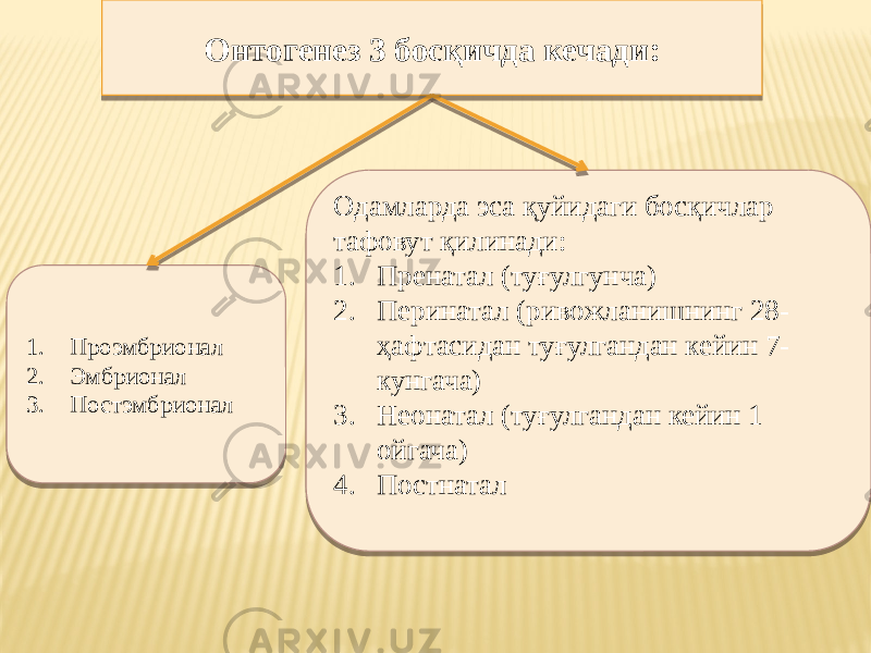 Онтогенез 3 босқичда кечади: 1. Проэмбрионал 2. Эмбрионал 3. Постэмбрионал Одамларда эса қуйидаги босқичлар тафовут қилинади: 1. Пренатал (туғулгунча) 2. Перинатал (ривожланишнинг 28- ҳафтасидан туғулгандан кейин 7- кунгача) 3. Неонатал (туғулгандан кейин 1 ойгача) 4. Постнатал01 0102 27 2002 211B 2602 27 03 05 0102 27 2002 27 16 28 2602 44 06 2902 27 