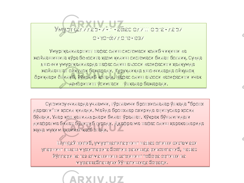 Умуртқалиларнинг нафас олиш органлари онто-филогенези Умуртқалиларнинг нафас олиш системаси келиб чиқиши ва жойлашишига кўра бевосита ҳазм қилиш системаси билан боғлиқ. Сувда яшовчи умуртқалиларда нафас олиш аъзоси вазифасини ҳалқумда жойлашган ойқулоқ бажаради. Қуруқликда яшовчиларда ойқулоқ ёриқлари ёпилиб, йўқолиб кетади. Нафас олиш аъзоси вазифасини ичак деворининг ўсимтаси – ўпкалар бажаради . Сутэмизувчиларда учламчи, тўртламчи бронхиолалар ўпкада “бронх дарахти”ни ҳосил қилади. Майда бронхлар охирида ацинуслар ҳосил бўлади. Улар қон капиллярлари билан ўралган. Кўкрак бўшлиғидаги диафрагма билан бўлиниб туради. Диафрагма нафас олиш ҳаракатларида жуда муҳим аҳамият касб этади. Шундай қилиб, умуртқалиларнинг нафас олиши системаси уларнинг яшаш муҳитларига боғлиқ равишда ривожланиб, нафас йўллари ва газ алмашиниш сатҳининг тобора ортиши ва мураккаблашуви йўналишида боради.81 08 81 0C 1C 0C 2E 22 01 33 22 14 22 0C 5F 44 4854 03 