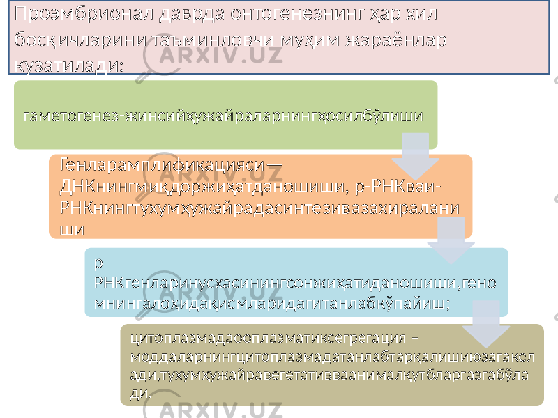 гаметогенез-жинсийҳужайраларнингҳосилбўлиши Генларамплификацияси— ДНКнингмиқдоржиҳатданошиши, р-РНКваи- РНКнингтухумҳужайрадасинтезивазахиралани ши р РНКгенларинусхасинингсонжиҳатиданошиши,гено мнингалоҳидақисмларидагитанлабкўпайиш; цитоплазмадаооплазматиксегрегация – моддаларнингцитоплазмадатанлабтарқалишиюзагакел ади,тухумҳужайравегетативваанималқутбларгаэгабўла ди.Проэмбрионал даврда онтогенезнинг ҳар хил босқичларини таъминловчи муҳим жараёнлар кузатилади: 