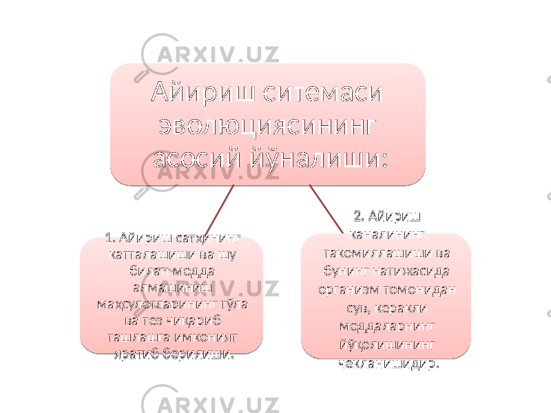 Айириш ситемаси эволюциясининг асосий йўналиши: 1. Айириш сатҳининг катталашиши ва шу билан модда алмашиниш маҳсулотларининг тўла ва тез чиқариб ташлашга имконият яратиб берилиши. 2. Айириш каналининг такомиллашиши ва бунинг натижасида организм томонидан сув, керакли моддаларнинг йўқолишининг чекланишидир.83 2A 040E08 63 1A 14 041305 05 2504 07 1C12 64 1A 07 14 08 0E 05 0F15 2C 