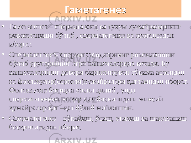 Гаметагенез • Гаметагенез – сперматазоид ва тухум ҳужайраларнинг ривожланиши бўлиб , сперматогенез ва овогенездан иборат. • Сперматогенез- сперматазоидларнинг ривожланиши бўлиб уруғдоннинг эгри каналчаларида кечади. Бу каналчаларнинг девори бириктирувчи тўқима асосидан ва фоллекулар(сертоли)ҳужайралари қатламидан иборат. Фоллекуляр ботиқча ҳосил қилиб , унда сперматагенезнинг ҳар хил босқичидаги жинсий ҳужайралар қат –қат бўлиб жойлашган. • Сперматогенез – кўпайиш, ўсиш, етилиш ва шаклланиш босқичларидан иборат. 