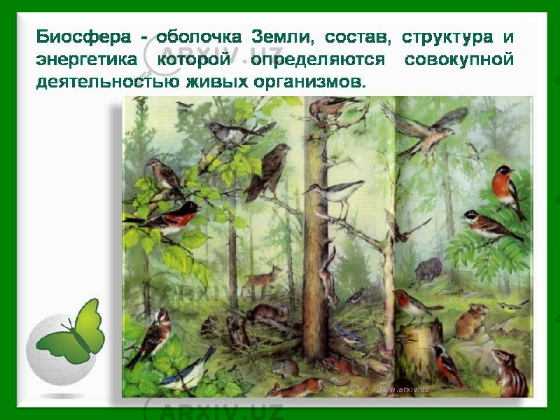 www.arxiv.uz 