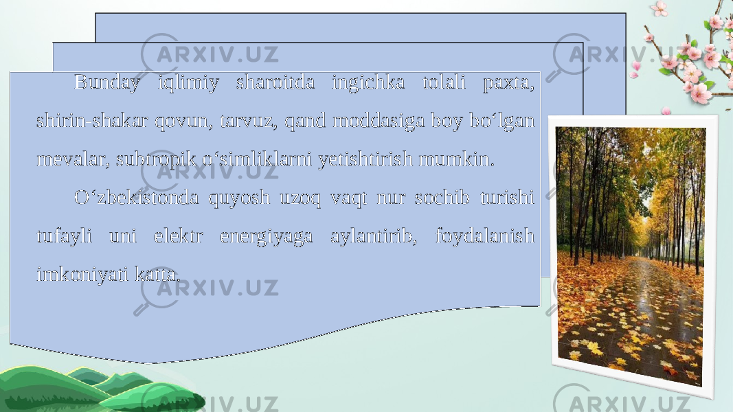 Bunday iqlimiy sharoitda ingichka tolali paxta, shirin-shakar qovun, tarvuz, qand moddasiga boy bo‘lgan mevalar, subtropik o‘simliklarni yetishtirish mumkin. O‘zbekistonda quyosh uzoq vaqt nur sochib turishi tufayli uni elektr energiyaga aylantirib, foydalanish imkoniyati katta. 