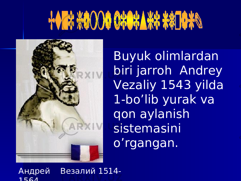 Андрей Везалий 1514- 1564 Buyuk olimlardan biri jarroh Andrey Vezaliy 1543 yilda 1-bo’lib yurak va qon aylanish sistemasini o’rgangan. 