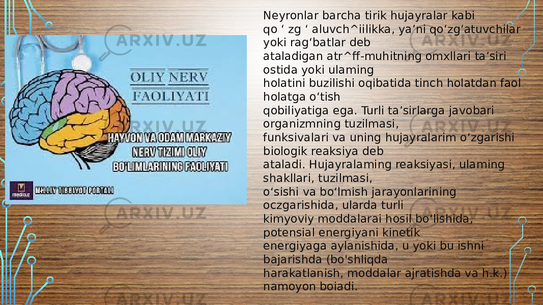 Neyronlar barcha tirik hujayralar kabi qo ‘ zg ‘ aluvch^iilikka, ya’ni qo‘zg‘atuvchilar yoki rag‘batlar deb ataladigan atr^ff-muhitning omxllari ta’siri ostida yoki ulaming holatini buzilishi oqibatida tinch holatdan faol holatga o‘tish qobiliyatiga ega. Turli ta’sirlarga javobari organizmning tuzilmasi, funksivalari va uning hujayralarim o‘zgarishi biologik reaksiya deb ataladi. Hujayralaming reaksiyasi, ulaming shakllari, tuzilmasi, o‘sishi va bo‘lmish jarayonlarining oczgarishida, ularda turli kimyoviy moddalarai hosil bo‘lishida, potensial energiyani kinetik energiyaga aylanishida, u yoki bu ishni bajarishda (bo&#39;shliqda harakatlanish, moddalar ajratishda va h.k.) namoyon boiadi. 