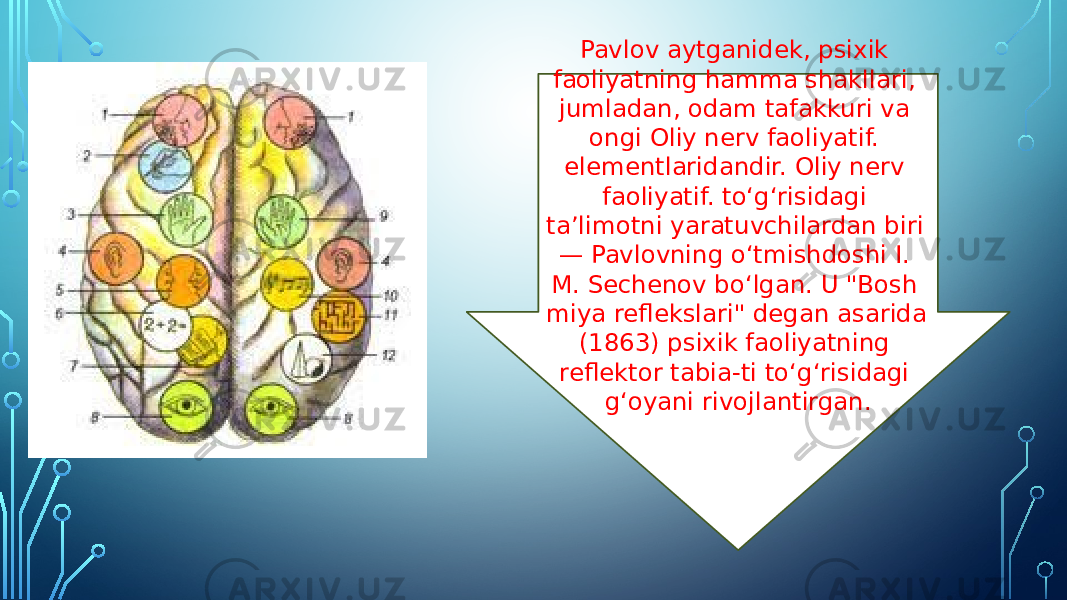 Pavlov aytganidek, psixik faoliyatning hamma shakllari, jumladan, odam tafakkuri va ongi Oliy nerv faoliyatif. elementlaridandir. Oliy nerv faoliyatif. toʻgʻrisidagi taʼlimotni yaratuvchilardan biri — Pavlovning oʻtmishdoshi I. M. Sechenov boʻlgan. U &#34;Bosh miya reflekslari&#34; degan asarida (1863) psixik faoliyatning reflektor tabia-ti toʻgʻrisidagi gʻoyani rivojlantirgan. 