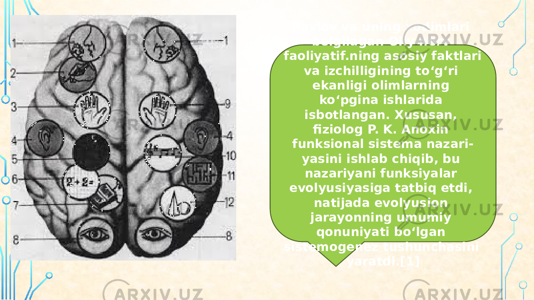 Pavlov va uning xodimlari belgilagan Oliy nerv faoliyatif.ning asosiy faktlari va izchilligining toʻgʻri ekanligi olimlarning koʻpgina ishlarida isbotlangan. Xususan, fiziolog P. K. Anoxin funksional sistema nazari- yasini ishlab chiqib, bu nazariyani funksiyalar evolyusiyasiga tatbiq etdi, natijada evolyusion jarayonning umumiy qonuniyati boʻlgan sistemogenez tushunchasini yaratdi.[1] 