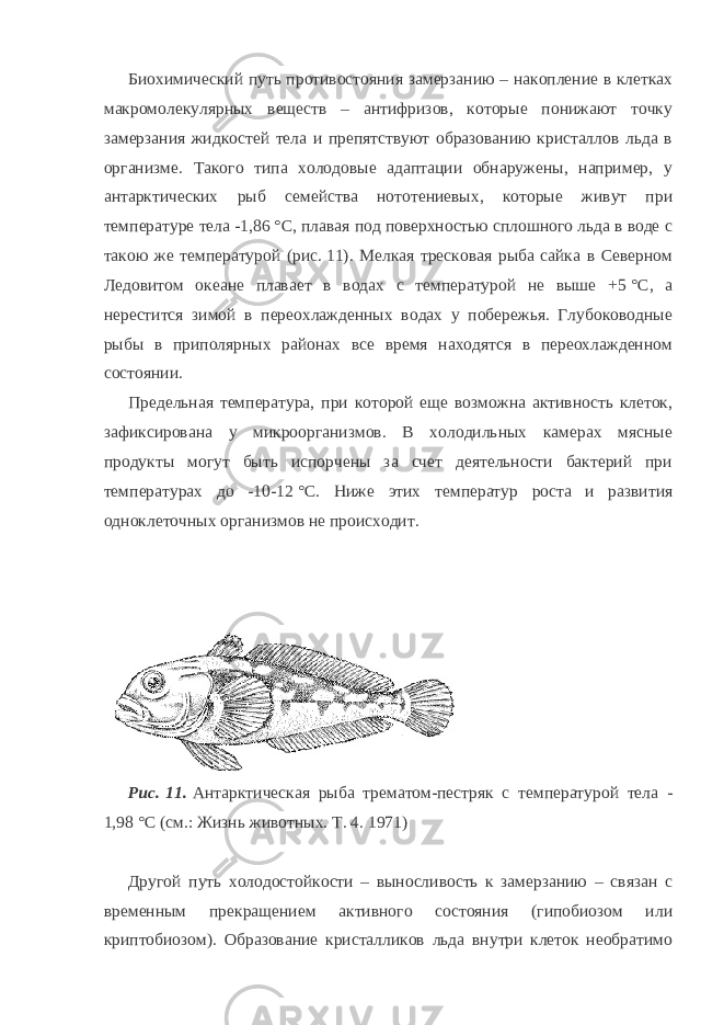 Биохимический путь противостояния замерзанию – накопление в клетках макромолекулярных веществ – антифризов, которые понижают точку замерзания жидкостей тела и препятствуют образованию кристаллов льда в организме. Такого типа холодовые адаптации обнаружены, например, у антарктических рыб семейства нототениевых, которые живут при температуре тела -1,86   °C, плавая под поверхностью сплошного льда в воде с такою же температурой (рис.   11). Мелкая тресковая рыба сайка в Северном Ледовитом океане плавает в водах с температурой не выше +5   °C, а нерестится зимой в переохлажденных водах у побережья. Глубоководные рыбы в приполярных районах все время находятся в переохлажденном состоянии. Предельная температура, при которой еще возможна активность клеток, зафиксирована у микроорганизмов. В холодильных камерах мясные продукты могут быть испорчены за счет деятельности бактерий при температурах до -10-12   °C. Ниже этих температур роста и развития одноклеточных организмов не происходит. Рис.   11.   Антарктическая рыба трематом-пестряк с температурой тела - 1,98   °C (см.: Жизнь животных. Т. 4. 1971) Другой путь холодостойкости – выносливость к замерзанию – связан с временным прекращением активного состояния (гипобиозом или криптобиозом). Образование кристалликов льда внутри клеток необратимо 