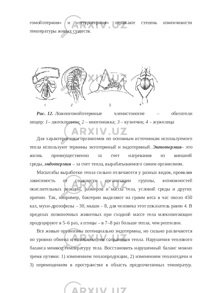 гомойотермия» и «гетеротермия» отражают степень изменчивости температуры живых существ. Рис.   12.   Ложногомойотермные членистоногие – обитатели пещер:   1 –   лжескорпион;   2   – многоножка;   3   – кузнечик;   4   – жужелица Для характеристики организмов по основным источникам используемого тепла используют термины эктотермный и эндотермный.   Эктотермия – это жизнь преимущественно за счет нагревания из внешней среды,   эндотермия   – за счет тепла, вырабатываемого самим организмом. Масштабы выработки тепла сильно отличаются у разных видов, проявляя зависимость от сложности организации группы, возможностей окислительных реакций, размеров и массы тела, условий среды и других причин. Так, например, бактерии выделяют на грамм веса в час около 450 кал, мухи-дрозофилы – 30, мыши – 8, для человека этот показатель равен 4. В пределах позвоночных животных при сходной массе тела млекопитающие продуцируют в 5–6 раз, а птицы – в 7–8 раз больше тепла, чем рептилии. Все живые организмы потенциально эндотермны, но сильно различаются по уровню обмена и возможностям сохранения тепла. Нарушения теплового баланса меняют температуру тела. Восстановить нарушенный баланс можно тремя путями: 1) изменением теплопродукции, 2) изменением теплоотдачи и 3) перемещением в пространстве в область предпочитаемых температур. 