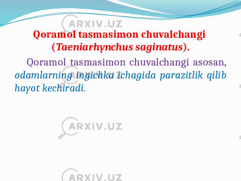  Qoramol tasmasimon chuvalchangi ( Taeniarhynchus saginatus ). Qoramol tasmasimon chuvalchangi asosan, odamlarning ingichka ichagida parazitlik qilib hayot kechiradi. 