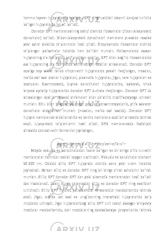 hamma hayvon hujayralarida topilgan. EPT ning tuzidishi takomil darajasi turlicha bo`lgan hujayralarda har xil bo`ladi. Donador EPT membranasining tashqi qismida ribosomalar (ribonukleoproteid donachalar) bo`ladi. Ribonukleoproteid donachalari membrana yuzasida rozetka yoki spiral shaklida to`planmalar hosil qiladi. Sitoplazmada ribosomalar alohida to`plangan polisomalar holatida ham bo`lishi mumkin. Polisomalarda asosan hujayraning o`z faoliyatida sarflanadigan oqsillar, EPT bilan bog`liq ribosomalarda esa hujayraning o`z faoliyatida sarflanadigan oqsillar sintezlanadi. Donador EPT oqsilga boy sekret ishlab chiqaruvchi hujayralarda yaxshi rivojlangan, masalan, me’da osti bezi atsinar hujayralari, plazmatik hujayralar, jigar, nerv hujayralari va boshqalar. Spermatozoid, buyrak kanalchalari hujayralarida, leykotsit, ichak kriptasi epiteliy hujayralarida donador EPT kuchsiz rivojlangan. Donador EPT da sintezlangan oqsillar uglevod birikmalari bilan qo`shilib modifikatsiyaga uchrashi mumkin. SHu bilan birga sintezlangan oqsillar konsentratsiyalanib, yirik sekretor donachalar shakllanishi mumkin (masalan, me’da osti bezida). Donador EPT hujayra membranasi shakllanishida va barcha membrana oqsillari sintezida ishtirok etadi. Lipoproteid to`plamlarini hosil qiladi. EPR membranasida fosfolipid sintezida qatnashuvchi fermentlar joylashgan. Agranulyar yoki silliq endoplazmatik to`r Mayda vakuola va kanalchalardan iborat bo`lgan va bir-biriga o`tib turuvchi membranalar tizimidan tashkil topgan tuzilmadir. Vakuola va kanalchalar diametri 50-100 nm. Odatda silliq EPT hujayrada alohida zona yoki tutam holatida joylashadi. Ba’zan silliq va donador EPT ning bir-biriga o`tish sohalarini ko`rish mumkin. Silliq EPT donador EPT dan yoki plazmatik membranadan hosil bo`ladi deb hisoblanadi. Lekin bunga qaramasdan silliq va donador EPT ning vazifalari turlichadir. Silliq EPT lipidlar, polisaxaridlar va steroidlar metabolizmida ishtirok etadi. Jigar, buyrak usti bezi va urug`donning interstitsial hujayralarida ko`p miqdorda uchraydi. Jigar hujayralaridagi silliq EPT turli tashqi ekzogen kimyoviy moddalar metabolizmida, dori moddalarning detoksikatsiya jarayonlarida ishtirok 