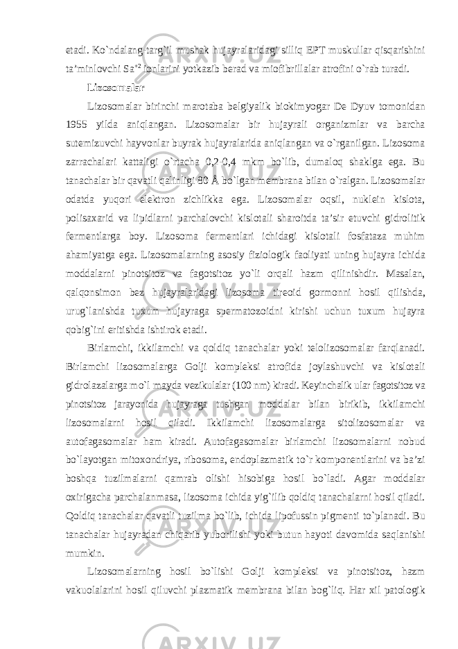 etadi. Ko`ndalang-targ`il mushak hujayralaridagi silliq EPT muskullar qisqarishini ta’minlovchi Sa +2 ionlarini yotkazib berad va miofibrillalar atrofini o`rab turadi. Lizosomalar Lizosomalar birinchi marotaba belgiyalik biokimyogar De Dyuv tomonidan 1955 yilda aniqlangan. Lizosomalar bir hujayrali organizmlar va barcha sutemizuvchi hayvonlar buyrak hujayralarida aniqlangan va o`rganilgan. Lizosoma zarrachalari kattaligi o`rtacha 0,2-0,4 mkm bo`lib, dumaloq shaklga ega. Bu tanachalar bir qavatli qalinligi 80 Å bo`lgan membrana bilan o`ralgan. Lizosomalar odatda yuqori elektron zichlikka ega. Lizosomalar oqsil, nuklein kislota, polisaxarid va lipidlarni parchalovchi kislotali sharoitda ta’sir etuvchi gidrolitik fermentlarga boy. Lizosoma fermentlari ichidagi kislotali fosfataza muhim ahamiyatga ega. Lizosomalarning asosiy fiziologik faoliyati uning hujayra ichida moddalarni pinotsitoz va fagotsitoz yo`li orqali hazm qilinishdir. Masalan, qalqonsimon bez hujayralaridagi lizosoma tireoid gormonni hosil qilishda, urug`lanishda tuxum hujayraga spermatozoidni kirishi uchun tuxum hujayra qobig`ini eritishda ishtirok etadi. Birlamchi, ikkilamchi va qoldiq tanachalar yoki telolizosomalar farqlanadi. Birlamchi lizosomalarga Golji kompleksi atrofida joylashuvchi va kislotali gidrolazalarga mo`l mayda vezikulalar (100 nm) kiradi. Keyinchalik ular fagotsitoz va pinotsitoz jarayonida hujayraga tushgan moddalar bilan birikib, ikkilamchi lizosomalarni hosil qiladi. Ikkilamchi lizosomalarga sitolizosomalar va autofagasomalar ham kiradi. Autofagasomalar birlamchi lizosomalarni nobud bo`layotgan mitoxondriya, ribosoma, endoplazmatik to`r komponentlarini va ba’zi boshqa tuzilmalarni qamrab olishi hisobiga hosil bo`ladi. Agar moddalar oxirigacha parchalanmasa, lizosoma ichida yig`ilib qoldiq tanachalarni hosil qiladi. Qoldiq tanachalar qavatli tuzilma bo`lib, ichida lipofussin pigmenti to`planadi. Bu tanachalar hujayradan chiqarib yuborilishi yoki butun hayoti davomida saqlanishi mumkin. Lizosomalarning hosil bo`lishi Golji kompleksi va pinotsitoz, hazm vakuolalarini hosil qiluvchi plazmatik membrana bilan bog`liq. Har xil patologik 