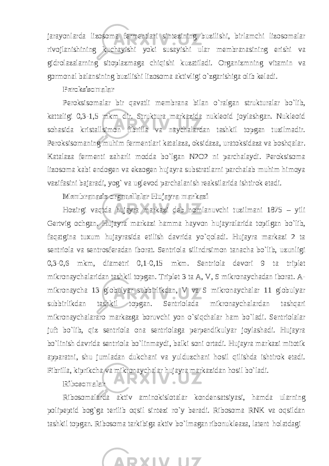 jarayonlarda lizosoma fermentlari sintezining buzilishi, birlamchi lizosomalar rivojlanishining kuchayishi yoki susayishi ular membranasining erishi va gidrolazalarning sitoplazmaga chiqishi kuzatiladi. Organizmning vitamin va gormonal balansining buzilishi lizosoma aktivligi o`zgarishiga olib keladi. Peroksisomalar Peroksisomalar bir qavatli membrana bilan o`ralgan strukturalar bo`lib, kattaligi 0,3-1,5 mkm dir. Struktura markazida nukleoid joylashgan. Nukleoid sohasida kristallsimon fibrilla va naychalardan tashkil topgan tuzilmadir. Peroksisomaning muhim fermentlari katalaza, oksidaza, uratoksidaza va boshqalar. Katalaza fermenti zaharli modda bo`lgan N2O2 ni parchalaydi. Peroksisoma lizosoma kabi endogen va ekzogen hujayra substratlarni parchalab muhim himoya vazifasini bajaradi, yog` va uglevod parchalanish reaksilarida ishtirok etadi. Membranasiz organellalar Hujayra markazi Hozirgi vaqtda hujayra markazi deb nomlanuvchi tuzilmani 1875 – yili Gertvig ochgan. Hujayra markazi hamma hayvon hujayralarida topilgan bo`lib, faqatgina tuxum hujayrasida etilish davrida yo`qoladi. Hujayra markazi 2 ta sentriola va sentrosferadan iborat. Sentriola silindrsimon tanacha bo`lib, uzunligi 0,3-0,6 mkm, diametri 0,1-0,15 mkm. Sentriola devori 9 ta triplet mikronaychalaridan tashkil topgan. Triplet 3 ta A, V, S mikronaychadan iborat. A- mikronaycha 13 globulyar subbirlikdan, V va S mikronaychalar 11 globulyar subbirlikdan tashkil topgan. Sentriolada mikronaychalardan tashqari mikronaychalararo markazga boruvchi yon o`siqchalar ham bo`ladi. Sentriolalar juft bo`lib, qiz sentriola ona sentriolaga perpendikulyar joylashadi. Hujayra bo`linish davrida sentriola bo`linmaydi, balki soni ortadi. Hujayra markazi mitotik apparatni, shu jumladan dukchani va yulduzchani hosil qilishda ishtirok etadi. Fibrilla, kiprikcha va mikronaychalar hujayra markazidan hosil bo`ladi. Ribosomalar Ribosomalarda aktiv aminokislotalar kondensatsiyasi, hamda ularning polipeptid bog`ga terilib oqsil sintezi ro`y beradi. Ribosoma RNK va oqsildan tashkil topgan. Ribosoma tarkibiga aktiv bo`lmagan ribonukleaza, latent holatdagi 