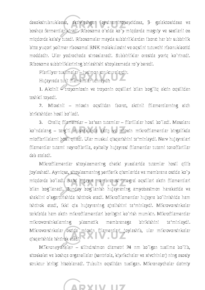 dezoksirubnukleaza, aktivlashgan leysinaminopeptidaza, β- galaktozidaza va boshqa fermentlar kiradi. Ribosoma o`zida ko`p miqdorda magniy va sezilarli oz miqdorda kalsiy tutadi. Ribosomalar mayda subbirliklardan iborat har bir subbirlik bitta yuqori polimer ribosomal RNK molekulasini va oqsilni tutuvchi ribonukleotid moddadir. Ular yadrochada sintezlanadi. Subbirliklar orasida yoriq ko`rinadi. Ribosoma subbirliklarining birlashishi sitoplazmada ro`y beradi. Fibrillyar tuzilmalar – ipsimon strukturalardir. Hujayrada turli filamentlar uchraydi: 1. Aktinli – tropomiozin va troponin oqsillari bilan bog`liq aktin oqsilidan tashkil topadi. 2. Miozinli – miozin oqsilidan iborat, aktinli filamentlarning zich birikishidan hosil bo`ladi. 3. Oraliq filamentlar – ba’zan tutamlar – fibrillalar hosil bo`ladi. Masalan: ko`ndalang – targ`il mushaklarda aktin va miozin mikrofilamentlar birgalikda miofibrillalarni hosil qiladi. Ular muskul qisqarishini ta’minlaydi. Nerv hujayralari filamentlar tutami neyrofibrilla, epiteliy hujayrasi filamentlar tutami tonofibrillar deb ataladi. Mikrofilamentlar sitoplazmaning chetki yuzalarida tutamlar hosil qilib joylashadi. Ayniqsa, sitoplazmaning periferik qismlarida va membrana ostida ko`p miqdorda bo`ladi. Ba’zi hujayra membranasi integral oqsillari aktin filamentlari bilan bog`lanadi. Bunday bog`lanish hujayraning amyobasimon harakatida va shaklini o`zgartirishida ishtirok etadi. Mikrofilamentlar hujayra bo`linishida ham ishtirok etadi, ikki qiz hujayraning ajralishini ta’minlaydi. Mikrovorsinkalar tarkibida ham aktin mikrofilamentlari borligini ko`rish mumkin. Mikrofilamentlar mikrovorsinkalarning plazmatik membranaga birikishini ta’minlaydi. Mikrovorsinkalar ostida miozin filamentlari joylashib, ular mikrovorsinkalar qisqarishida ishtirok etadi. Mikronaychalar – silindrsimon diametri 24 nm bo`lgan tuzilma bo`lib, sitoskelet va boshqa organellalar (sentriola, kiprikchalar va xivchinlar) ning asosiy struktur birligi hisoblanadi. Tubulin oqsilidan tuzilgan. Mikronaychalar doimiy 