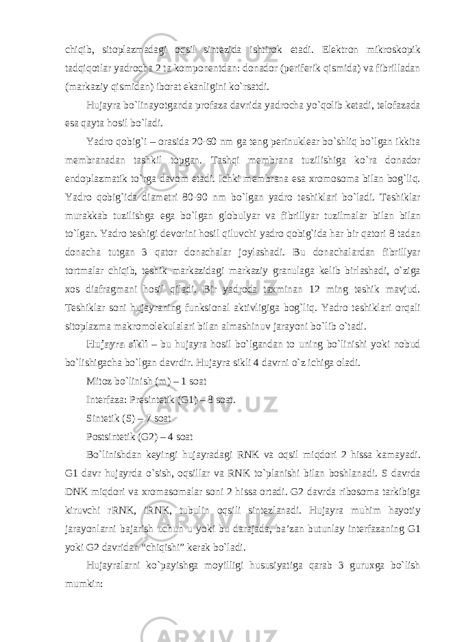 chiqib, sitoplazmadagi oqsil sintezida ishtirok etadi. Elektron mikroskopik tadqiqotlar yadrocha 2 ta komponentdan: donador (periferik qismida) va fibrilladan (markaziy qismidan) iborat ekanligini ko`rsatdi. Hujayra bo`linayotganda profaza davrida yadrocha yo`qolib ketadi, telofazada esa qayta hosil bo`ladi. Yadro qobig`i – orasida 20-60 nm ga teng perinuklear bo`shliq bo`lgan ikkita membranadan tashkil topgan. Tashqi membrana tuzilishiga ko`ra donador endoplazmatik to`rga davom etadi. Ichki membrana esa xromosoma bilan bog`liq. Yadro qobig`ida diametri 80-90 nm bo`lgan yadro teshiklari bo`ladi. Teshiklar murakkab tuzilishga ega bo`lgan globulyar va fibrillyar tuzilmalar bilan bilan to`lgan. Yadro teshigi devorini hosil qiluvchi yadro qobig`ida har bir qatori 8 tadan donacha tutgan 3 qator donachalar joylashadi. Bu donachalardan fibrillyar tortmalar chiqib, teshik markazidagi markaziy granulaga kelib birlashadi, o`ziga xos diafragmani hosil qiladi. Bir yadroda taxminan 12 ming teshik mavjud. Teshiklar soni hujayraning funksional aktivligiga bog`liq. Yadro teshiklari orqali sitoplazma makromolekulalari bilan almashinuv jarayoni bo`lib o`tadi. Hujayra sikli – bu hujayra hosil bo`lgandan to uning bo`linishi yoki nobud bo`lishigacha bo`lgan davrdir. Hujayra sikli 4 davrni o`z ichiga oladi. Mitoz bo`linish (m) – 1 soat Interfaza: Presintetik (G1) – 8 soat. Sintetik (S) – 7 soat Postsintetik (G2) – 4 soat Bo`linishdan keyingi hujayradagi RNK va oqsil miqdori 2 hissa kamayadi. G1 davr hujayrda o`sish, oqsillar va RNK to`planishi bilan boshlanadi. S davrda DNK miqdori va xromasomalar soni 2 hissa ortadi. G2 davrda ribosoma tarkibiga kiruvchi rRNK, iRNK, tubulin oqsili sintezlanadi. Hujayra muhim hayotiy jarayonlarni bajarish uchun u yoki bu darajada, ba’zan butunlay interfazaning G1 yoki G2 davridan “chiqishi” kerak bo`ladi. Hujayralarni ko`payishga moyilligi hususiyatiga qarab 3 guruxga bo`lish mumkin: 