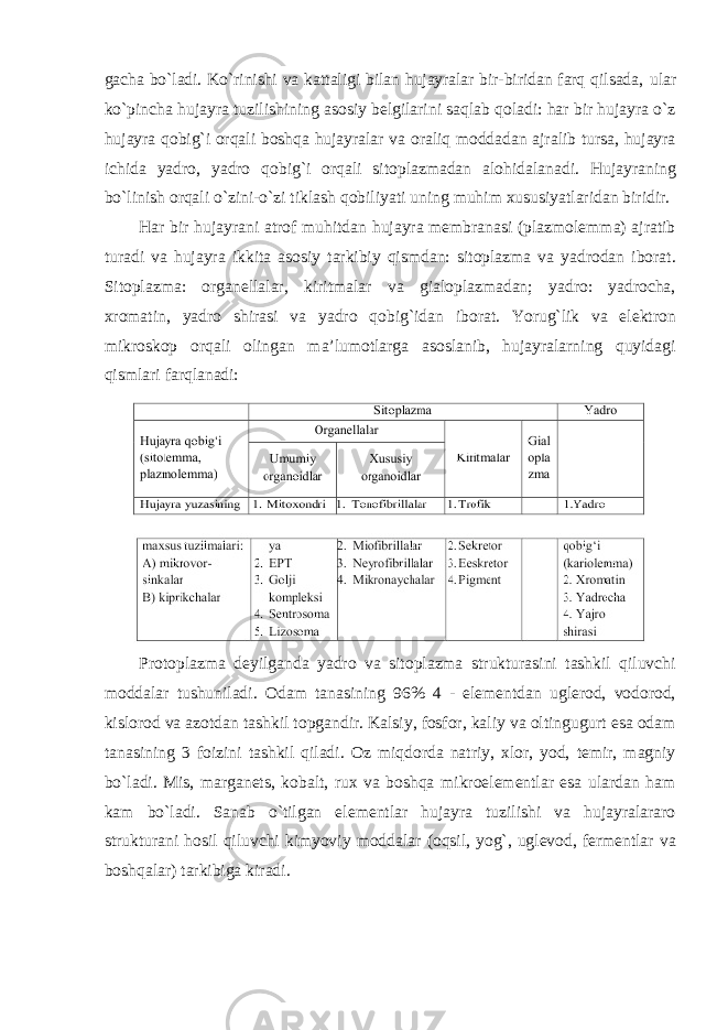gacha bo`ladi. Ko`rinishi va kattaligi bilan hujayralar bir-biridan farq qilsada, ular ko`pincha hujayra tuzilishining asosiy belgilarini saqlab qoladi: har bir hujayra o`z hujayra qobig`i orqali boshqa hujayralar va oraliq moddadan ajralib tursa, hujayra ichida yadro, yadro qobig`i orqali sitoplazmadan alohidalanadi. Hujayraning bo`linish orqali o`zini-o`zi tiklash qobiliyati uning muhim xususiyatlaridan biridir. Har bir hujayrani atrof muhitdan hujayra membranasi (plazmolemma) ajratib turadi va hujayra ikkita asosiy tarkibiy qismdan: sitoplazma va yadrodan iborat. Sitoplazma: organellalar, kiritmalar va gialoplazmadan; yadro: yadrocha, xromatin, yadro shirasi va yadro qobig`idan iborat. Yorug`lik va elektron mikroskop orqali olingan ma’lumotlarga asoslanib, hujayralarning quyidagi qismlari farqlanadi: Protoplazma deyilganda yadro va sitoplazma strukturasini tashkil qiluvchi moddalar tushuniladi. Odam tanasining 96% 4 - elementdan uglerod, vodorod, kislorod va azotdan tashkil topgandir. Kalsiy, fosfor, kaliy va oltingugurt esa odam tanasining 3 foizini tashkil qiladi. Oz miqdorda natriy, xlor, yod, temir, magniy bo`ladi. Mis, marganets, kobalt, rux va boshqa mikroelementlar esa ulardan ham kam bo`ladi. Sanab o`tilgan elementlar hujayra tuzilishi va hujayralararo strukturani hosil qiluvchi kimyoviy moddalar (oqsil, yog`, uglevod, fermentlar va boshqalar) tarkibiga kiradi. 