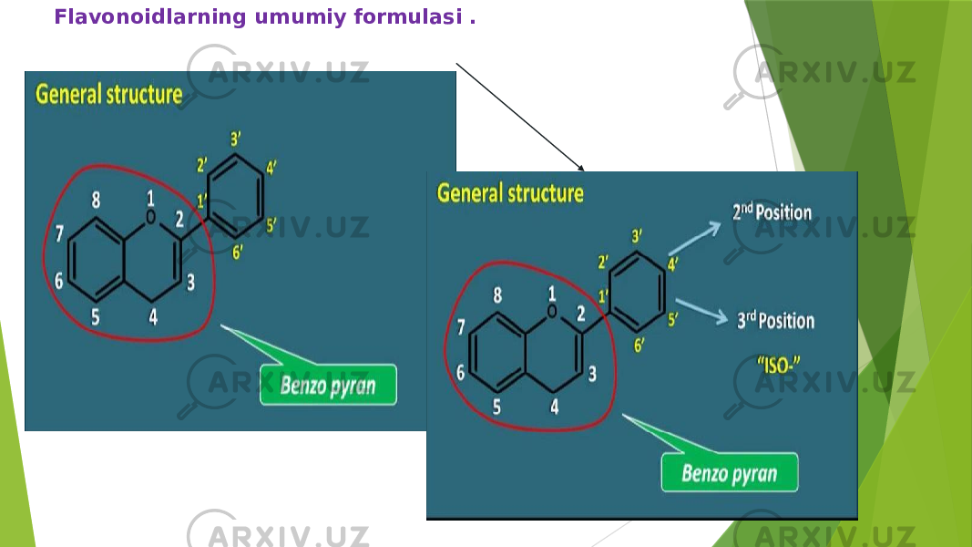 Flavonoidlarning umumiy formulasi . 