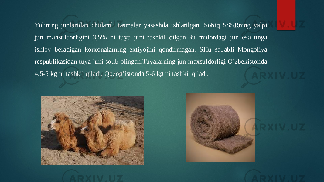 Yolining junlaridan chidamli tasmalar yasashda ishlatilgan. Sobiq SSSRning yalpi jun mahsuldorligini 3,5% ni tuya juni tashkil qilgan.Bu midordagi jun esa unga ishlov beradigan korxonalarning extiyojini qondirmagan. SHu sababli Mongoliya respublikasidan tuya juni sotib olingan.Tuyalarning jun maxsuldorligi O’zbekistonda 4.5-5 kg ni tashkil qiladi. Qozog’istonda 5-6 kg ni tashkil qiladi. 