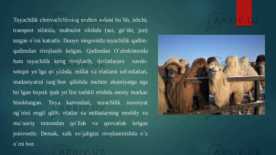 Tuyachilik chorvachilikning muhim sohasi bo`lib, ishchi, transport sifatida, mahsulot olishda (sut, go`sht, jun) tutgan o`rni kattadir. Dunyo miqyosida tuyachilik qadim- qadimdan rivojlanib kelgan. Qadimdan O`zbekistonda ham tuyachilik keng rivojlanib, davlatlararo savdo- sotiqni yo`lga qo`yishda, millat va elatlarni urf-odatlari, madaniyatini targ`ibot qilishda muhim ahamiyatga ega bo`lgan buyuk ipak yo`lini tashkil etishda asosiy markaz hisoblangan. Tuya karvonlari, tuyachilik insoniyat og`irini engil qilib, elatlar va millatlarning moddiy va ma`naviy tomondan qo`llab va quvvatlab kelgan jonivordir. Demak, xalk xo`jaligini rivojlantirishda o`z o`rni bor. 