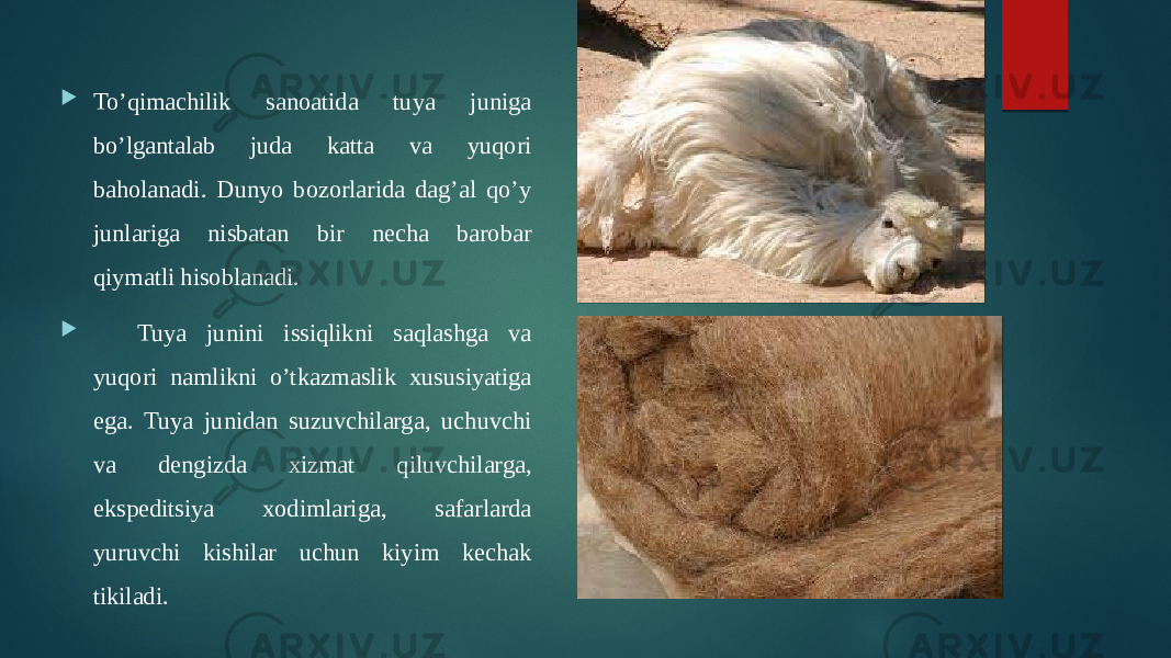  To’qimachilik sanoatida tuya juniga bo’lgantalab juda katta va yuqori baholanadi. Dunyo bozorlarida dag’al qo’y junlariga nisbatan bir necha barobar qiymatli hisoblanadi.  Tuya junini issiqlikni saqlashga va yuqori namlikni o’tkazmaslik xususiyatiga ega. Tuya junidan suzuvchilarga, uchuvchi va dengizda xizmat qiluvchilarga, ekspeditsiya xodimlariga, safarlarda yuruvchi kishilar uchun kiyim kechak tikiladi. 