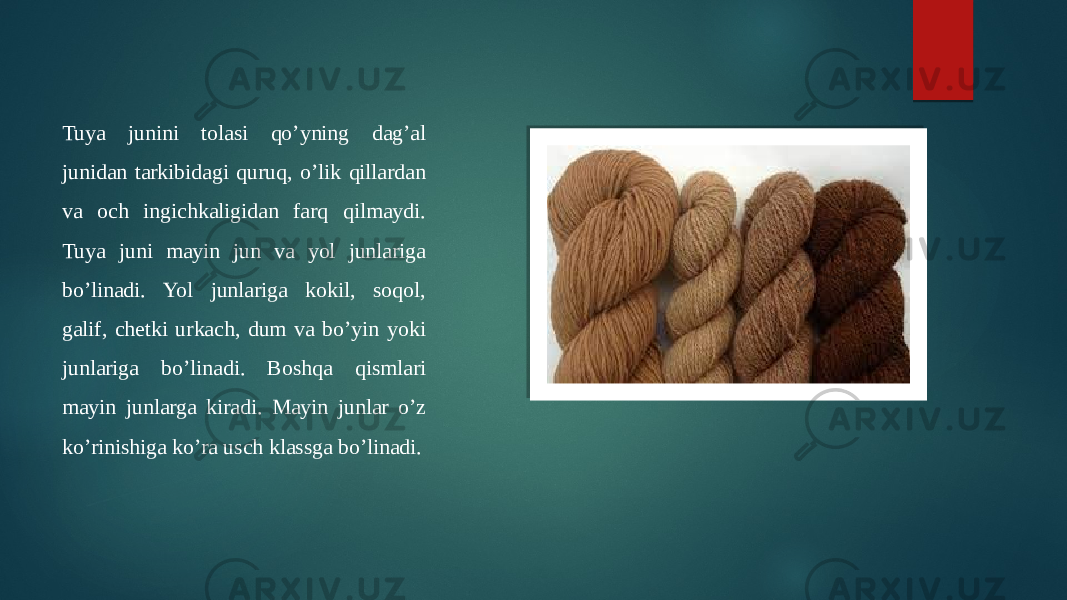 Tuya junini tolasi qo’yning dag’al junidan tarkibidagi quruq, o’lik qillardan va och ingichkaligidan farq qilmaydi. Tuya juni mayin jun va yol junlariga bo’linadi. Yol junlariga kokil, soqol, galif, chetki urkach, dum va bo’yin yoki junlariga bo’linadi. Boshqa qismlari mayin junlarga kiradi. Mayin junlar o’z ko’rinishiga ko’ra usch klassga bo’linadi. 