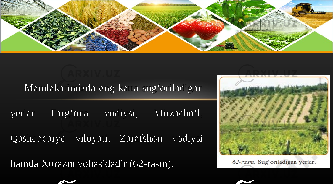 Mamlakatimizda eng katta sug‘oriladigan yerlar Farg‘ona vodiysi, Mirzacho‘l, Qashqadaryo viloyati, Zarafshon vodiysi hamda Xorazm vohasidadir (62-rasm). 