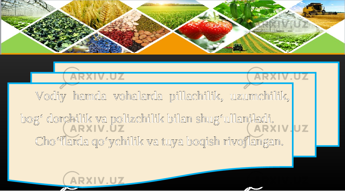 Vodiy hamda vohalarda pillachilik, uzumchilik, bog‘ dorchilik va polizchilik bilan shug‘ullaniladi. Cho‘llarda qo‘ychilik va tuya boqish rivojlangan. 