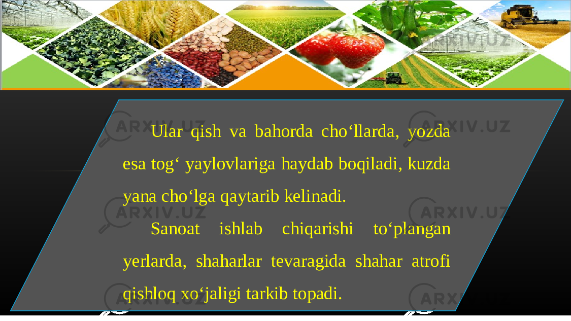 Ular qish va bahorda cho‘llarda, yozda esa tog‘ yaylovlariga haydab boqiladi, kuzda yana cho‘lga qaytarib kelinadi. Sanoat ishlab chiqarishi to‘plangan yerlarda, shaharlar tevaragida shahar atrofi qishloq xo‘jaligi tarkib topadi. 