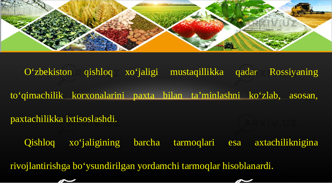 O ‘ zb е kist о n qishl о q х o ‘ j а ligi must а qillikk а q а d а r R о ssiyaning to ‘ qim а chilik k о r хо n а l а rini p ах t а bil а n t а’ minl а shni ko ‘ zl а b , а s о s а n , paxt а chilikk а i х tis о sl а shdi . Qishl о q х o ‘ j а ligining b а rch а t а rm о ql а ri es а axt а chiliknigin а riv о jl а ntirishg а bo ‘ ysundirilg а n yord а mchi t а rm о ql а r his о bl а n а rdi . 