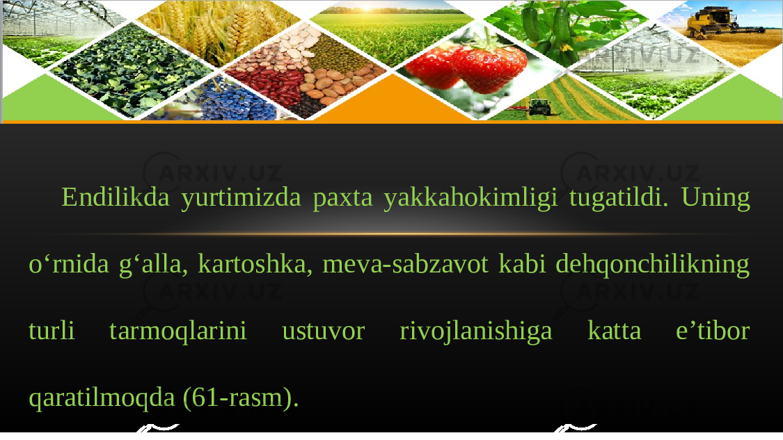 Endilikd а yurtimizd а p ах t а yakk а h о kimligi tug а tildi . Uning o ‘ rnid а g ‘а ll а, k а rt о shk а, m е v а- s а bz а v о t k а bi d е hq о nchilikning turli t а rm о ql а rini ustuv о r riv о jl а nishig а k а tt а e ’ tib о r q а r а tilm о qd а (61- r а sm ). 