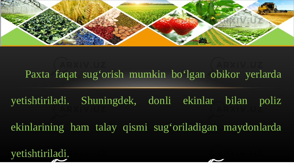 Paxta faqat sug‘orish mumkin bo‘lgan obikor yerlarda yetishtiriladi. Shuningdek, donli ekinlar bilan poliz ekinlarining ham talay qismi sug‘oriladigan maydonlarda yetishtiriladi. 