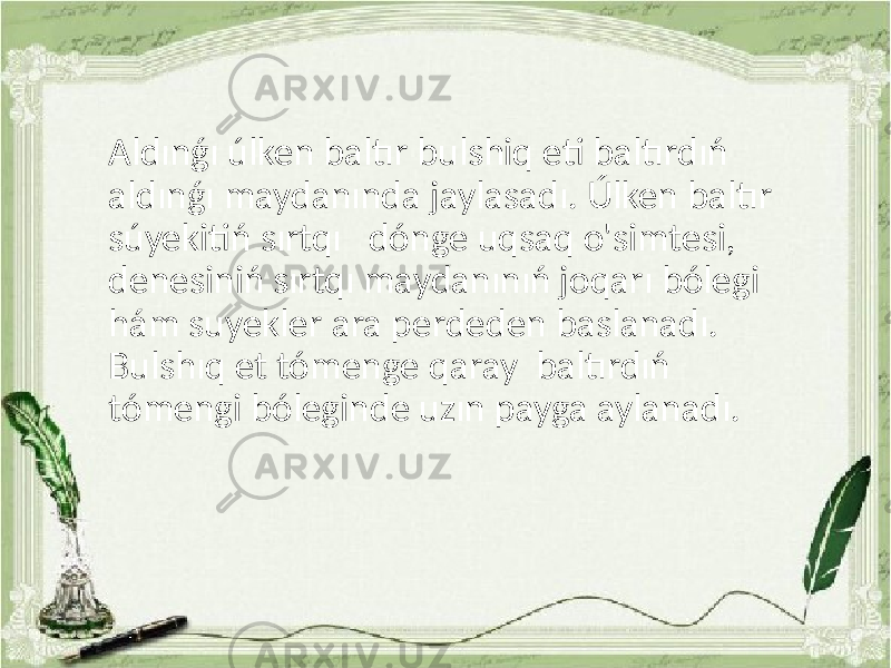 Aldınǵı úlken baltır bulshiq eti baltırdıń aldınǵı maydanında jaylasadı. Úlken baltır súyekitiń sırtqı dónge uqsaq o&#39;simtesi, denesiniń sırtqı maydanınıń joqarı bólegi hám suyekler ara perdeden baslanadı. Bulshıq et tómenge qaray baltırdıń tómengi bóleginde uzın payga aylanadı. 