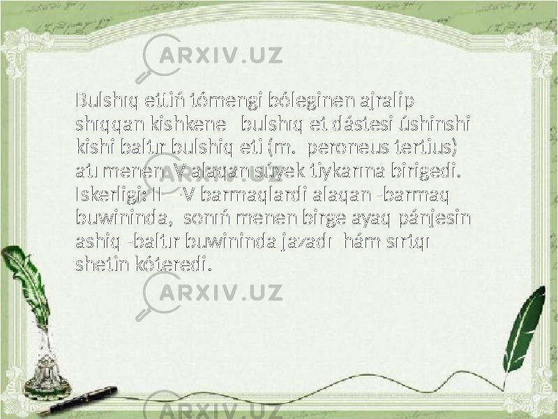 Bulshıq ettiń tómengi bóleginen ajralip shıqqan kishkene bulshıq et dástesi úshinshi kishi baltır bulshiq eti (m. peroneus tertius) atı menen V alaqan súyek tiykarına birigedi. Iskerligi: II—V barmaqlardi alaqan -barmaq buwininda, sonıń menen birge ayaq pánjesin ashiq -baltır buwininda jazadı hám sırtqı shetin kóteredi. 