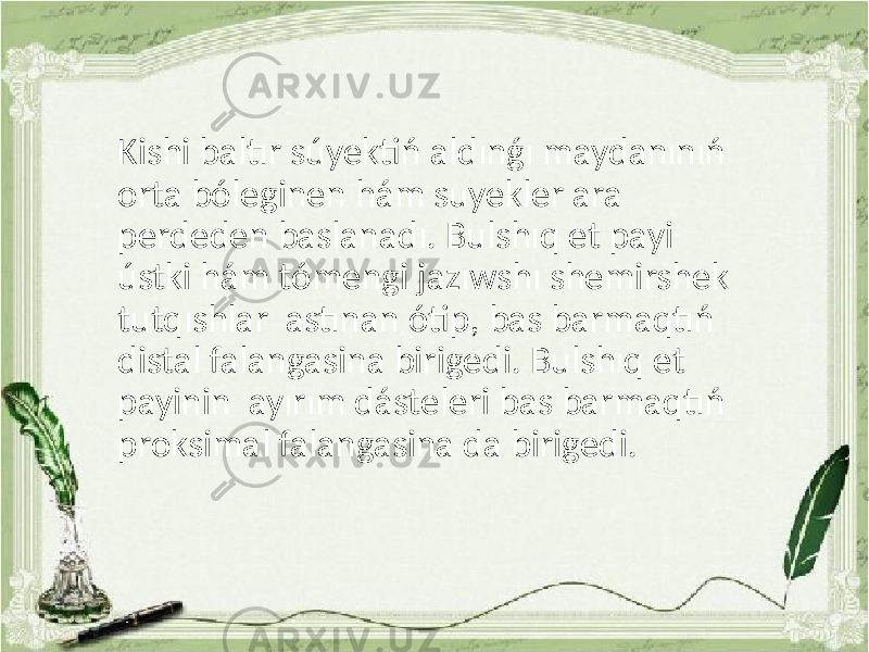 Kishi baltır súyektiń aldınǵı maydanınıń orta bóleginen hám suyekler ara perdeden baslanadı. Bulshıq et payi ústki hám tómengi jazıwshı shemirshek tutqıshlar astınan ótip, bas barmaqtıń distal falangasina birigedi. Bulshıq et payinin ayırım dásteleri bas barmaqtıń proksimal falangasina da birigedi. 