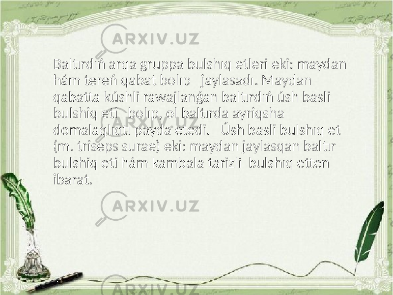 Baltırdıń arqa gruppa bulshıq etleri eki: maydan hám tereń qabat bolıp jaylasadı. Maydan qabatta kúshli rawajlanǵan baltırdıń úsh basli bulshiq eti bolıp, ol baltırda ayriqsha domalaqlıqtı payda etedi. Úsh basli bulshıq et (m. triseps surae) eki: maydan jaylasqan baltır bulshiq eti hám kambala tarizli bulshıq etten ibarat. 