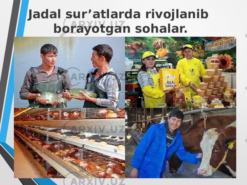 Jadal sur’atlarda rivojlanib borayotgan sohalar. 