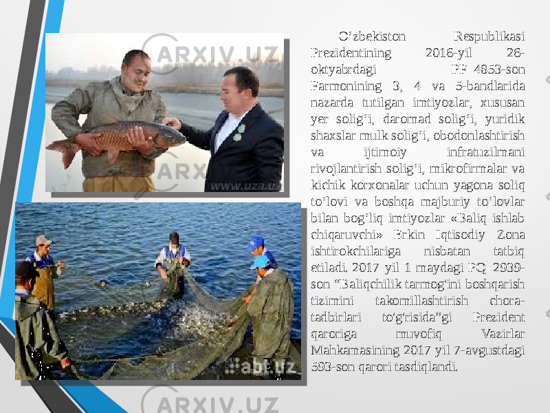  O‘zbekiston Respublikasi Prezidentining 2016-yil 26- oktyabrdagi PF–4853-son Farmonining 3, 4 va 5-bandlarida nazarda tutilgan imtiyozlar, xususan yer solig‘i, daromad solig‘i, yuridik shaxslar mulk solig‘i, obodonlashtirish va ijtimoiy infratuzilmani rivojlantirish solig‘i, mikrofirmalar va kichik korxonalar uchun yagona soliq to‘lovi va boshqa majburiy to‘lovlar bilan bog‘liq imtiyozlar «Baliq ishlab chiqaruvchi» Erkin Iqtisodiy Zona ishtirokchilariga nisbatan tatbiq etiladi. 2017 yil 1 maydagi PQ–2939- son “Baliqchilik tarmog&#39;ini boshqarish tizimini takomillashtirish chora- tadbirlari to&#39;g&#39;risida”gi Prezident qaroriga muvofiq Vazirlar Mahkamasining 2017 yil 7-avgustdagi 593-son qarori tasdiqlandi. 