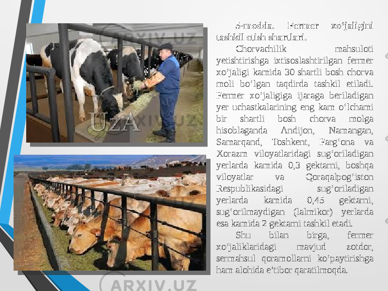  5-modda. Fermer xo‘jaligini tashkil etish shartlari. Chorvachilik mahsuloti yetishtirishga ixtisoslashtirilgan fermer xo‘jaligi kamida 30 shartli bosh chorva moli bo‘lgan taqdirda tashkil etiladi. Fermer xo‘jaligiga ijaraga beriladigan yer uchastkalarining eng kam o‘lchami bir shartli bosh chorva molga hisoblaganda Andijon, Namangan, Samarqand, Toshkent, Farg‘ona va Xorazm viloyatlaridagi sug‘oriladigan yerlarda kamida 0,3 gektarni, boshqa viloyatlar va Qoraqalpog‘iston Respublikasidagi sug‘oriladigan yerlarda kamida 0,45 gektarni, sug‘orilmaydigan (lalmikor) yerlarda esa kamida 2 gektarni tashkil etadi. Shu bilan birga, fermer xo‘jaliklaridagi mavjud zotdor, sermahsul qoramollarni ko‘paytirishga ham alohida e’tibor qaratilmoqda. 