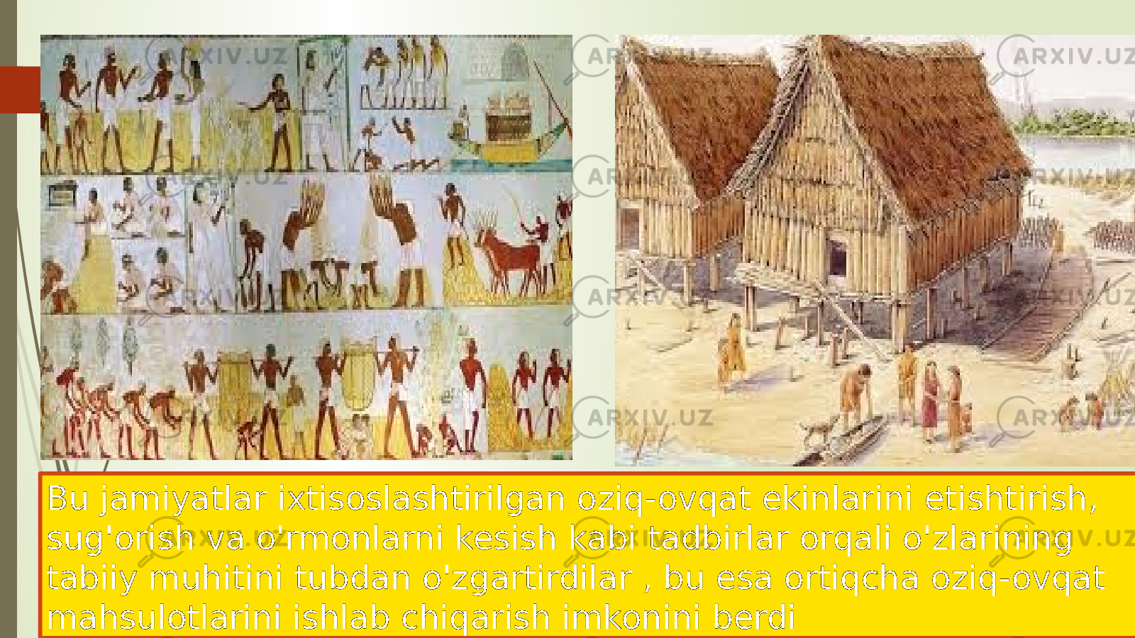 Bu jamiyatlar ixtisoslashtirilgan oziq-ovqat ekinlarini etishtirish, sug&#39;orish va o&#39;rmonlarni kesish kabi tadbirlar orqali o&#39;zlarining tabiiy muhitini tubdan o&#39;zgartirdilar , bu esa ortiqcha oziq-ovqat mahsulotlarini ishlab chiqarish imkonini berdi 
